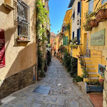 Appartement Collioure, Grande Terrasse Et Parking Exterior foto
