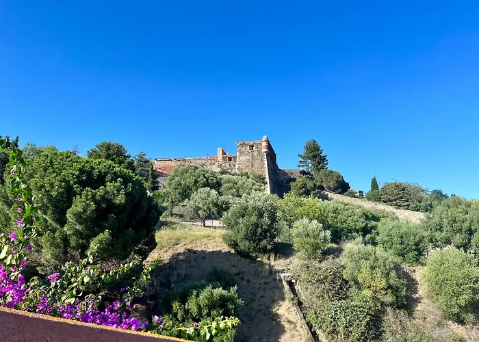 Appartement Collioure, Grande Terrasse Et Parking