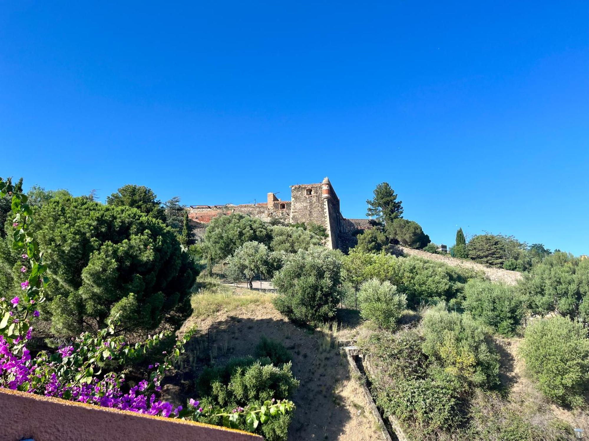 Collioure, Grande Terrasse Et Parking *