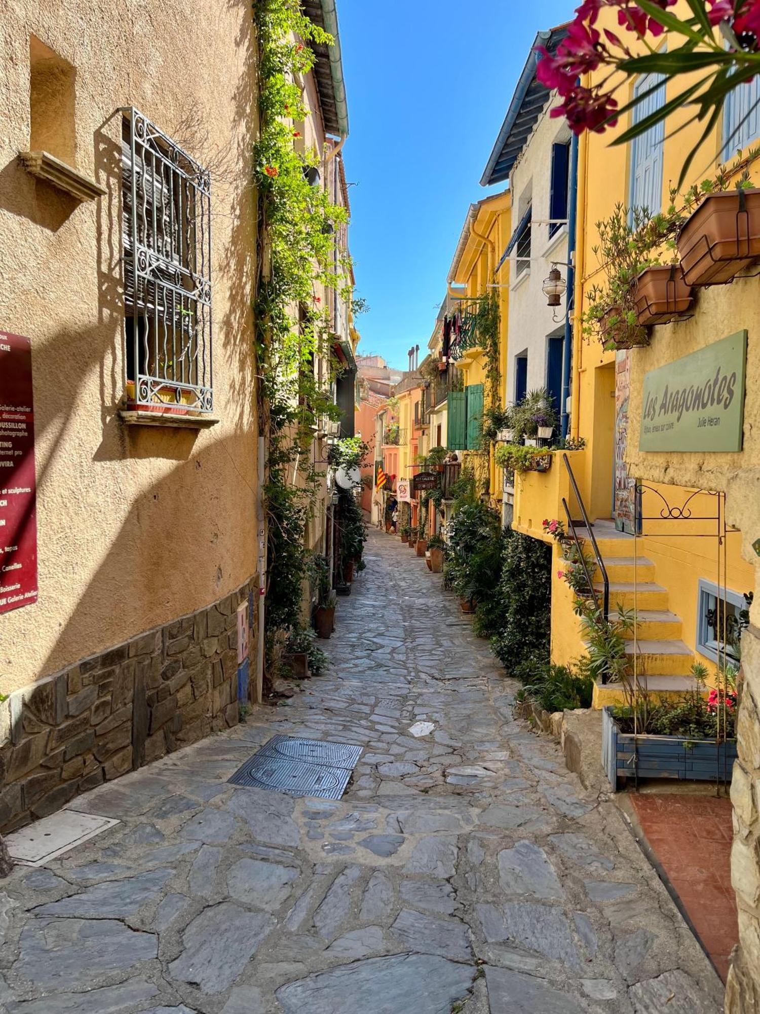 Collioure, Grande Terrasse Et Parking Apartment